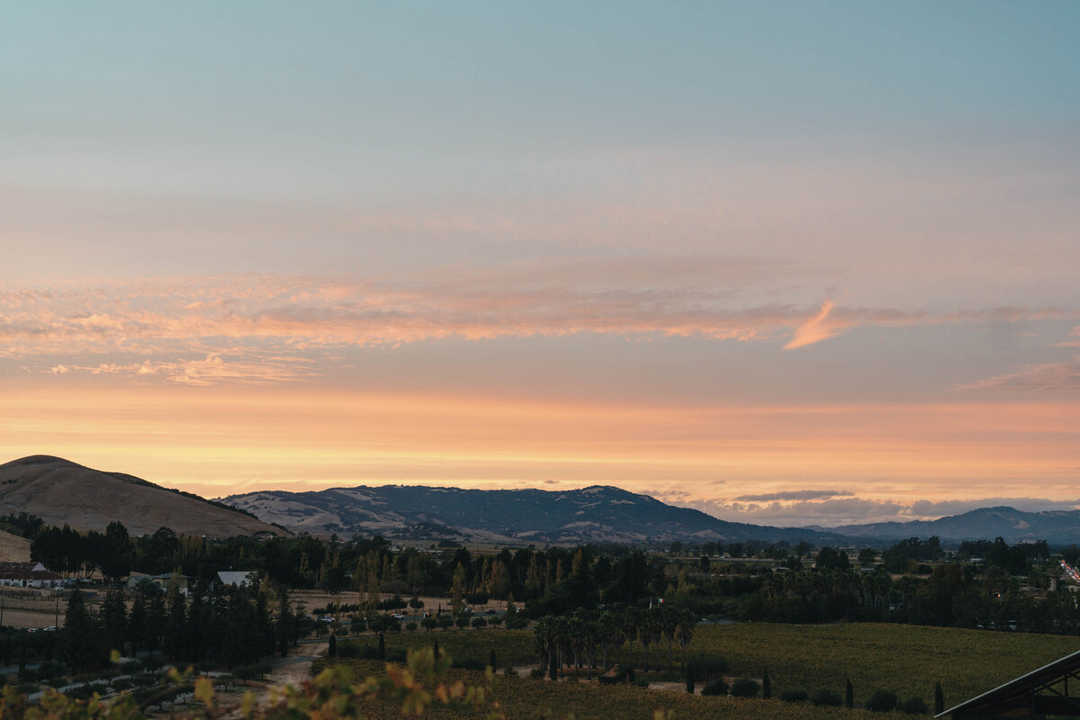 Viansa-Sonoma-Wedding-91