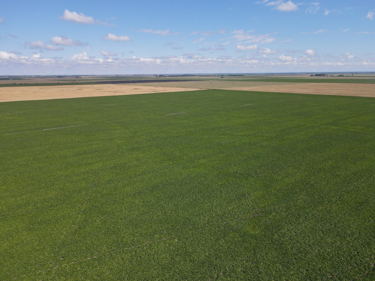 DJI_0873