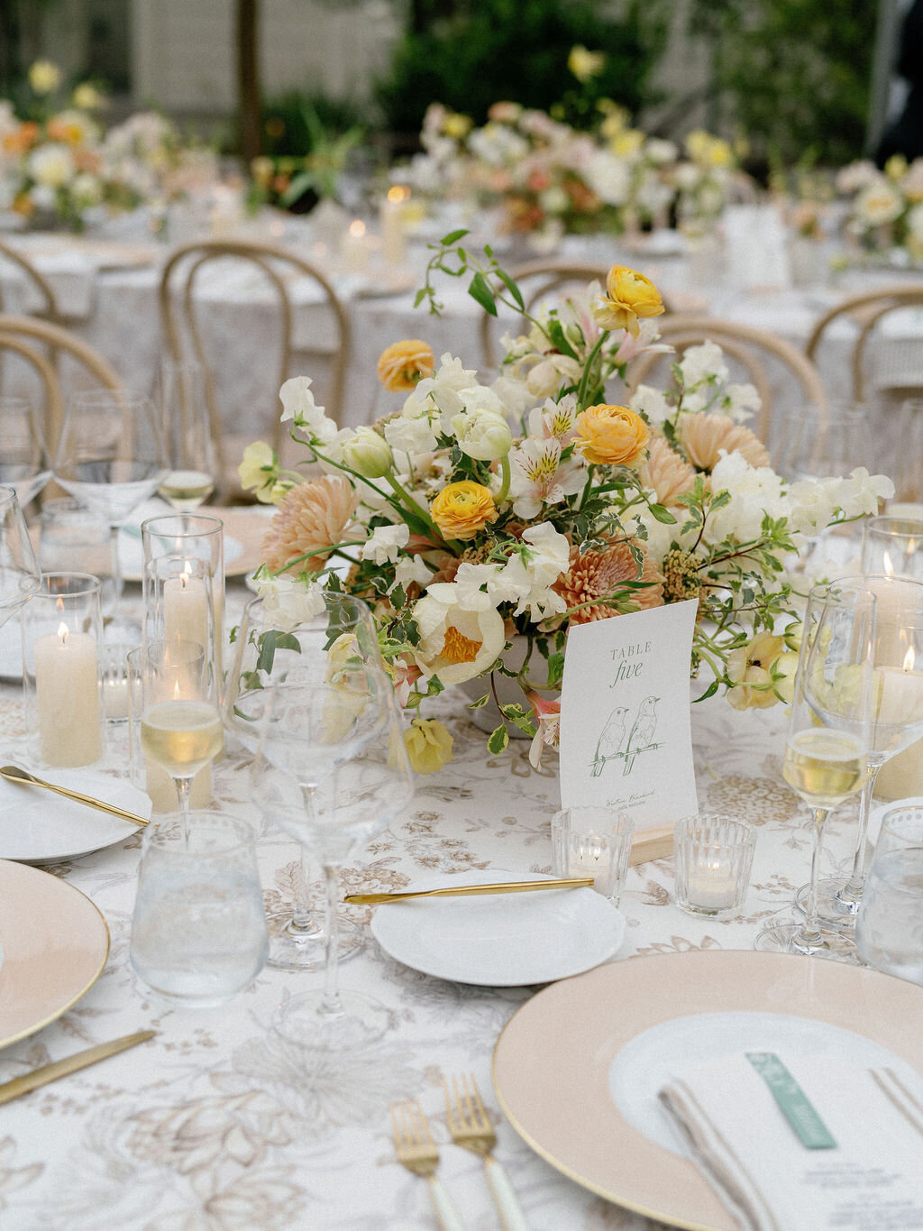 AnnaCalvin-Wed2025-723