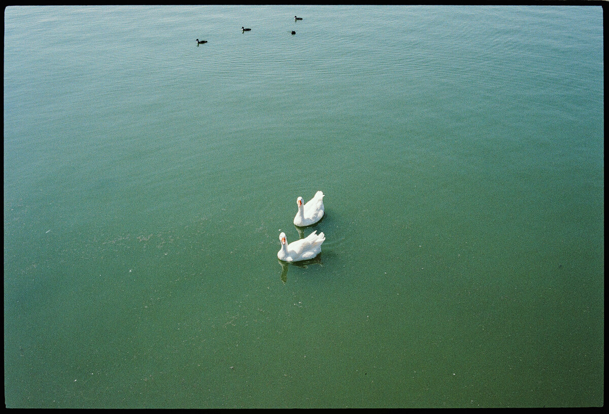 AriahJadePhoto-Hummels-Boat-29