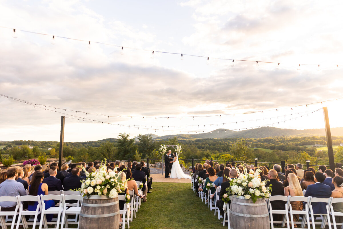 loudoun-studios-wedding-bluemont-blue-valley-vineyards-virginia00019