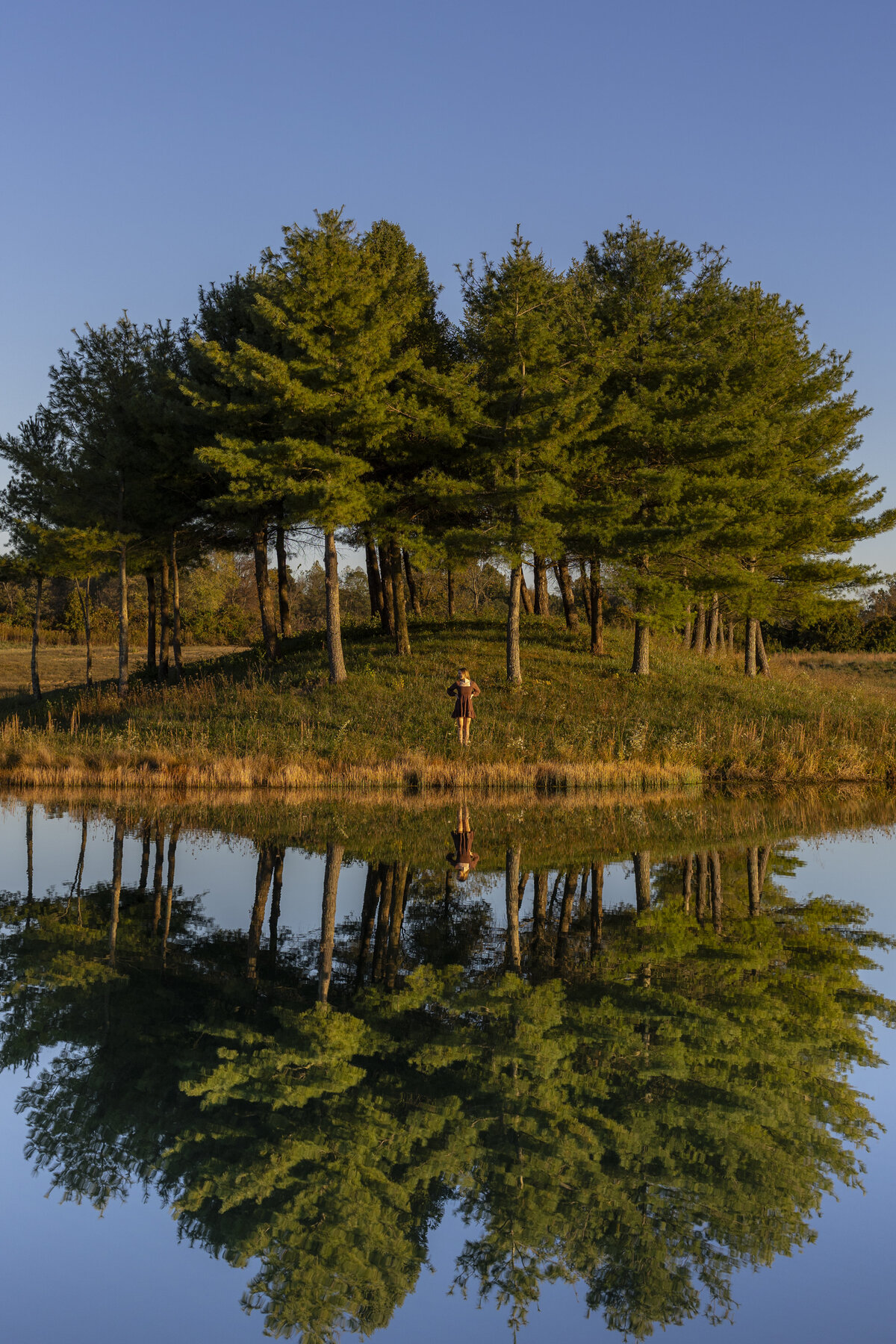 website_25-6