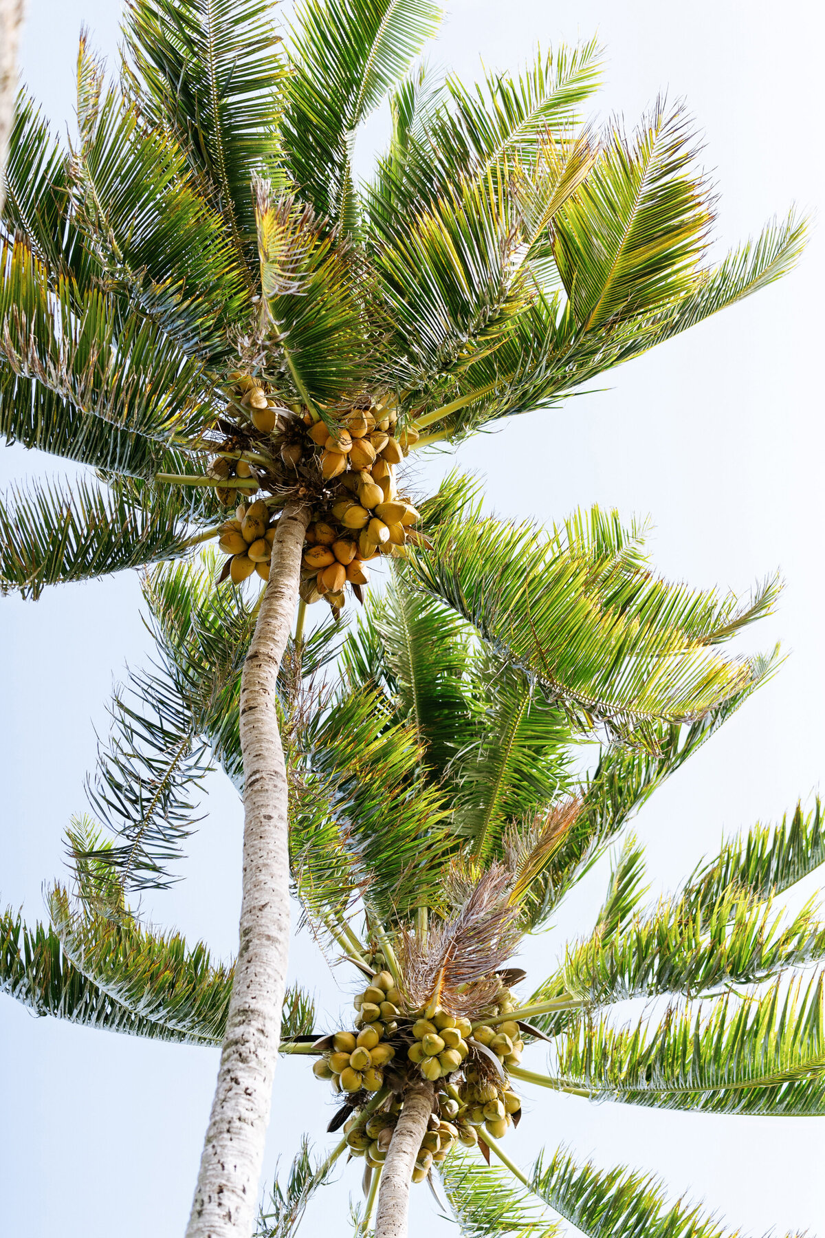 t kira & hannah 0050