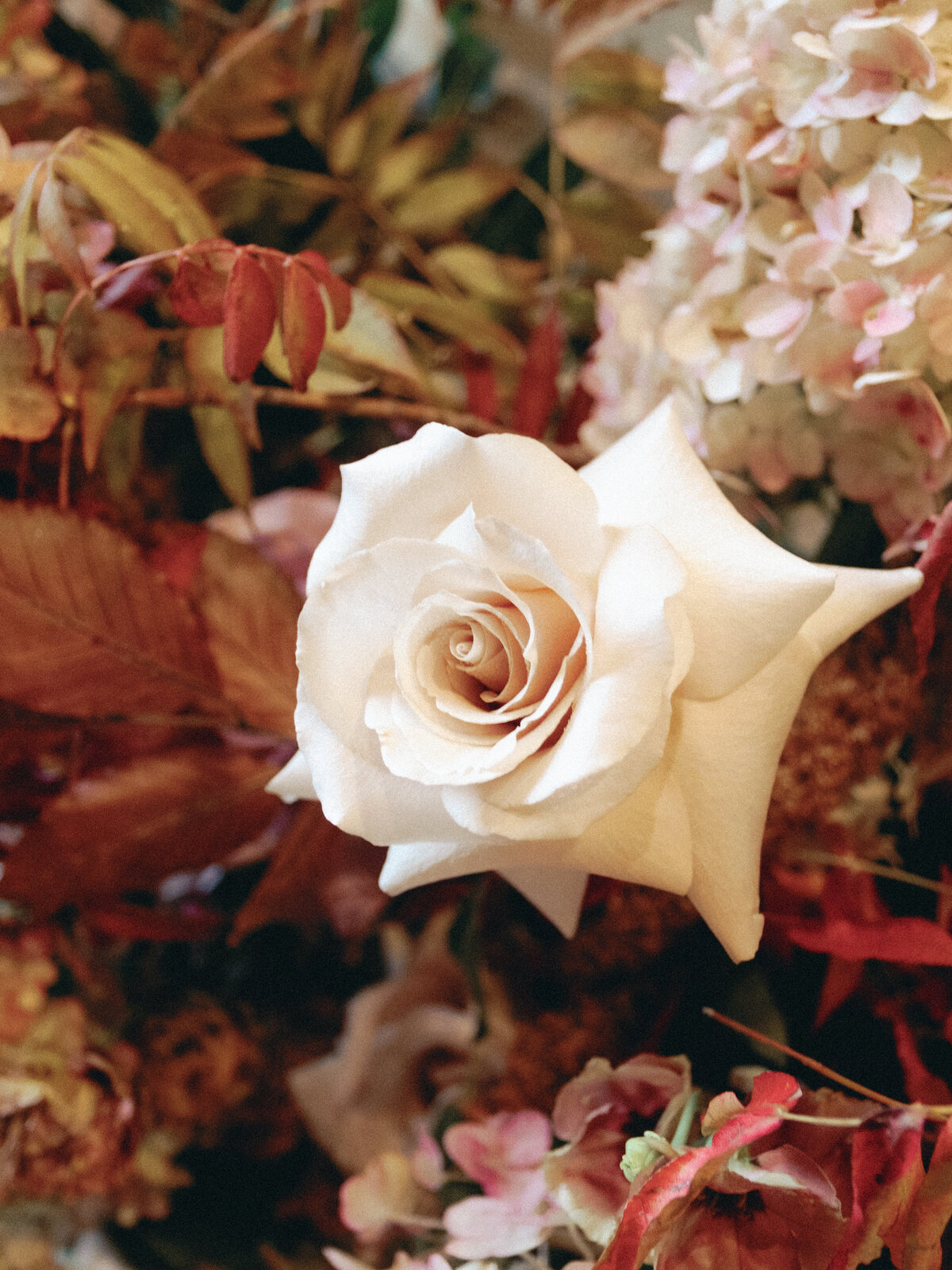 Boise Wedding Photographer (54 of 205)
