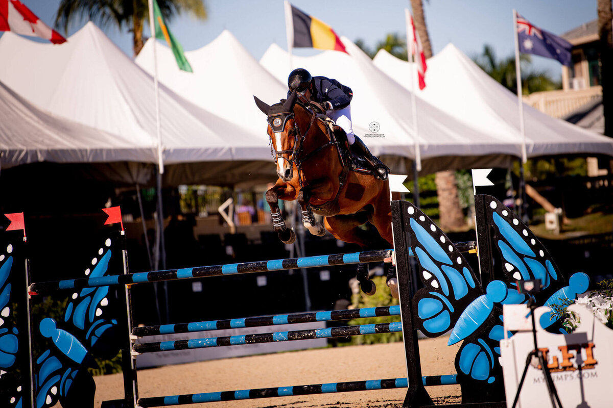 HATHERLY LLC TRAINING SHOWJUMPING TEAM WELLINGTON, FL_US EQUESTRIAN TEAM(7)