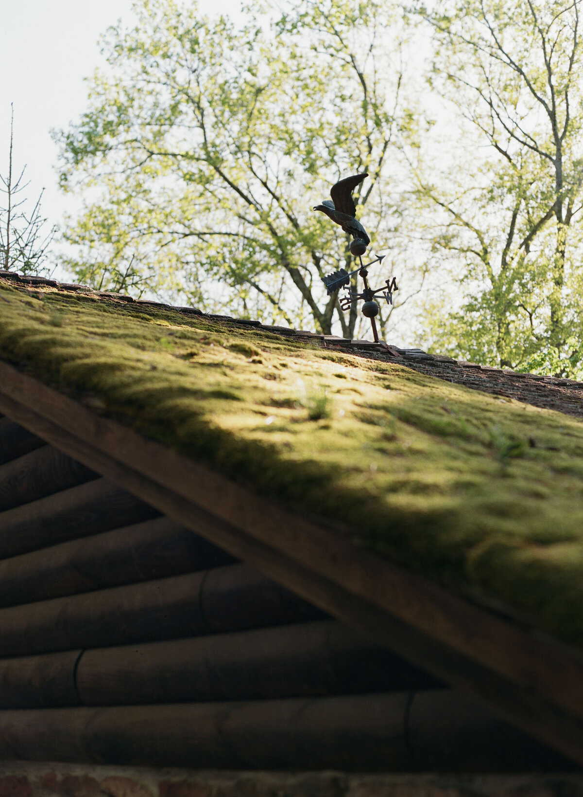 Cedar-Lakes-Estate-Wedding-0004