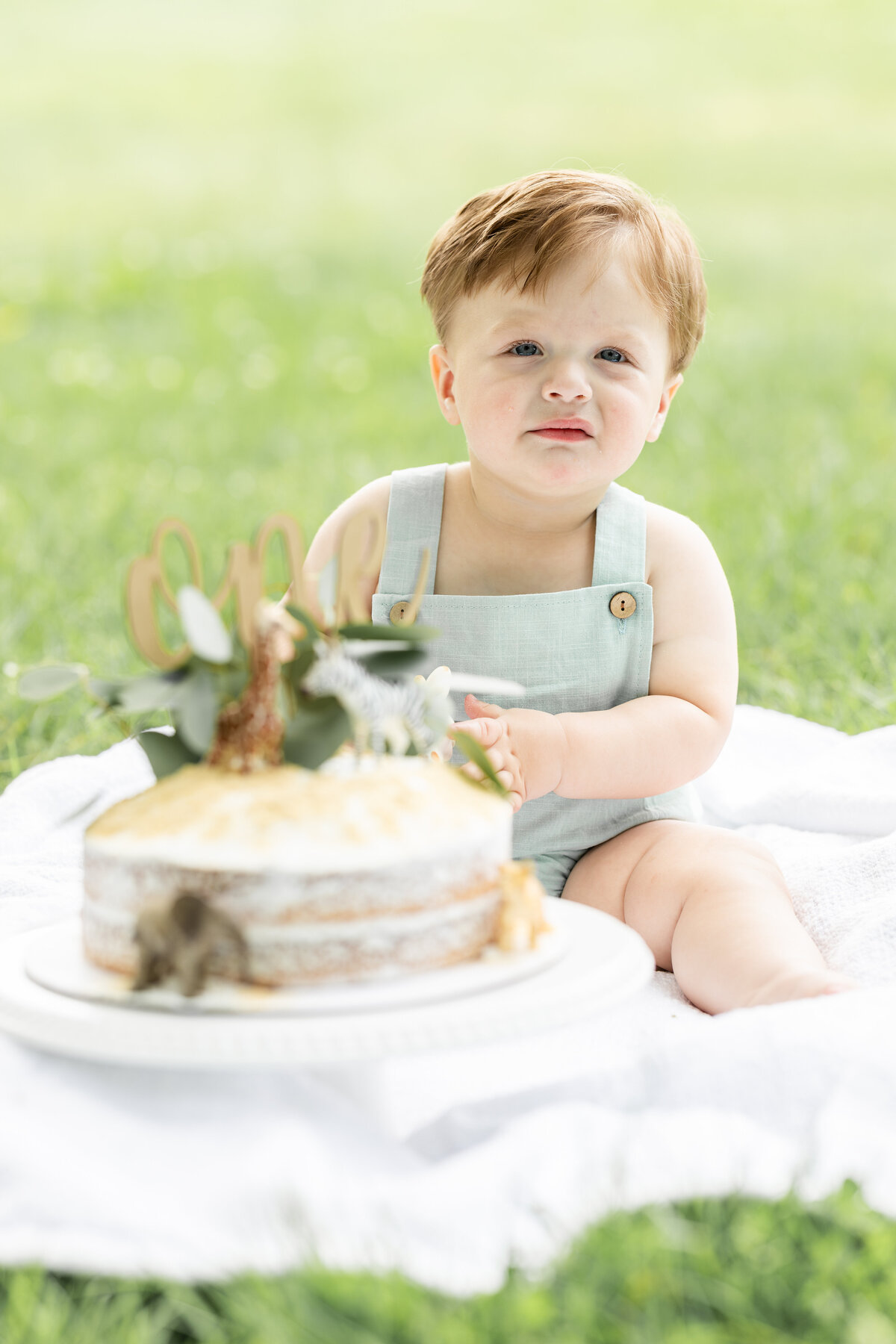 A sweet toddler with light brown hair and rosy cheeks sits on a blanket in a grassy field, wearing light green overalls, he has a frosting on his hands as he enjoys his birthday cake. 