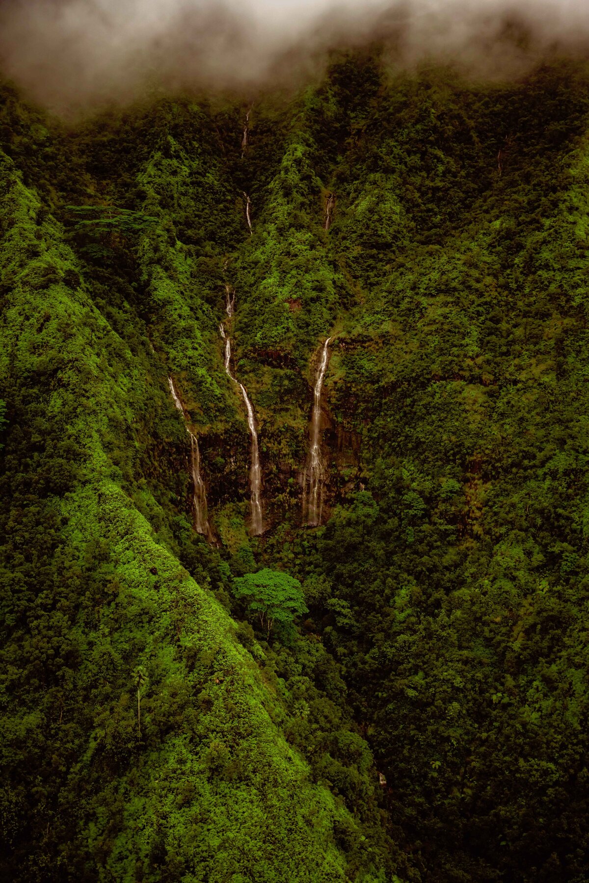 _DSC9338-Edit