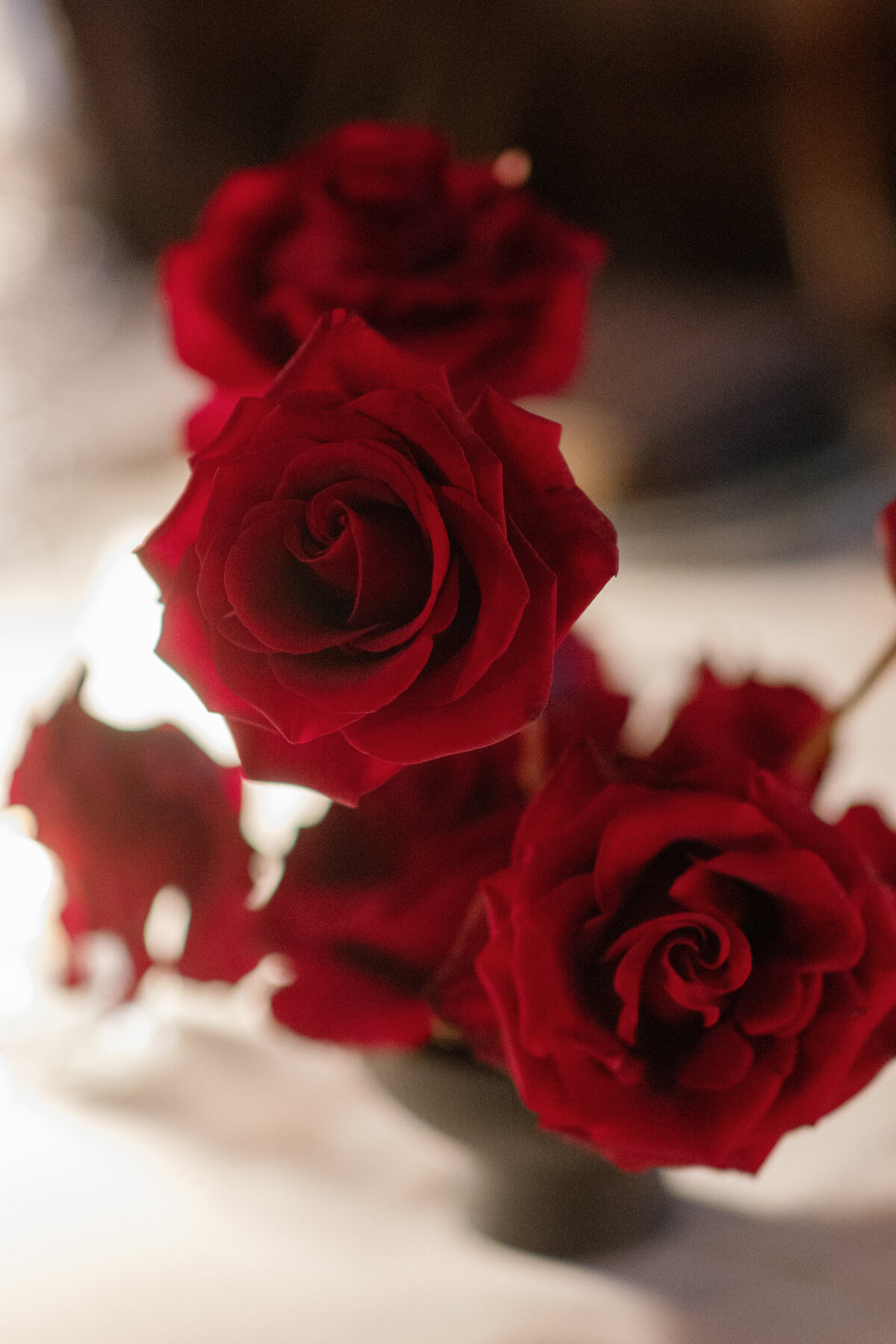 Lauren-Zach-Wedding-0929