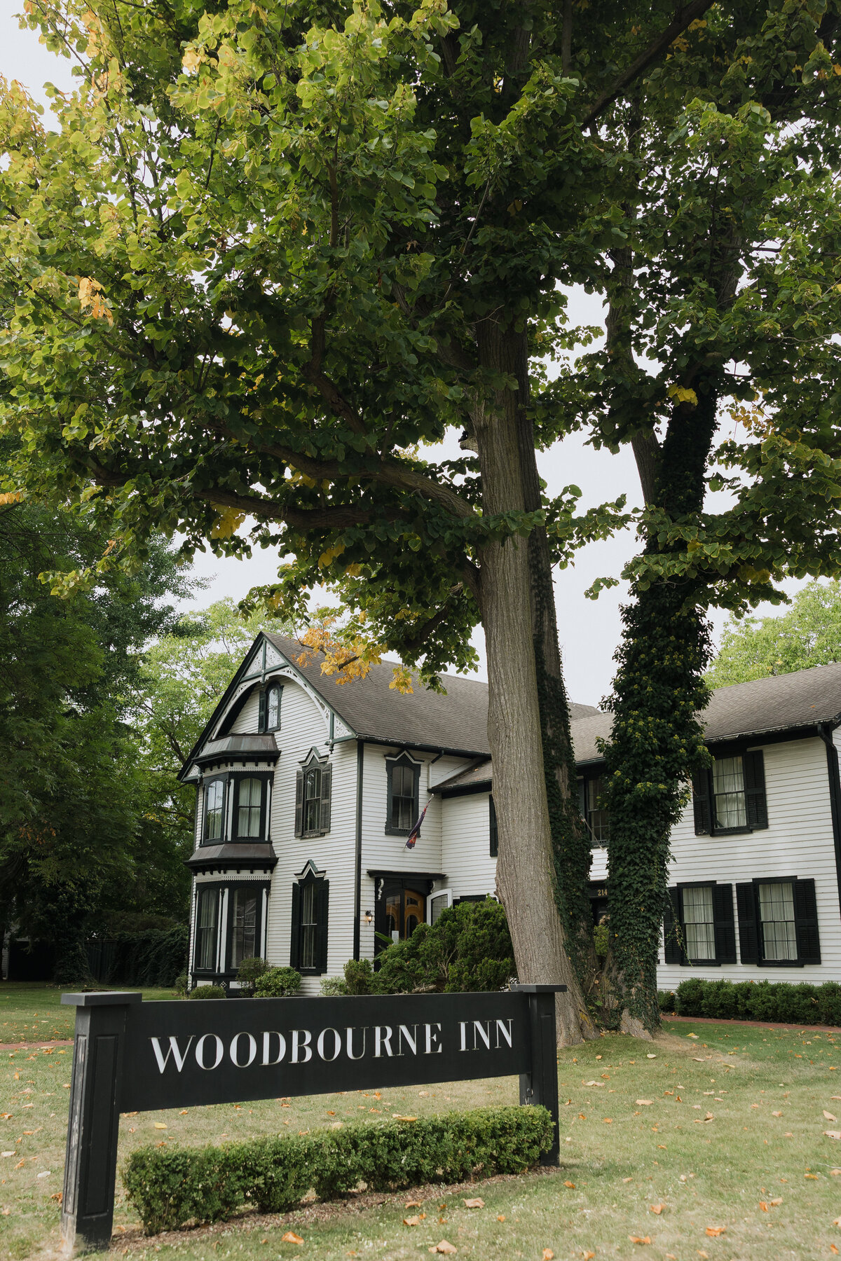 Wedding Photographer in Niagara