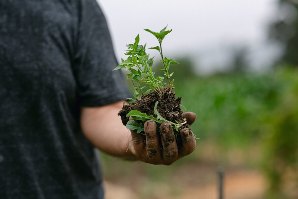 Leap-Lab-Science-Farm-Ventura-California-Santa-Paula-Non-Profit-0010