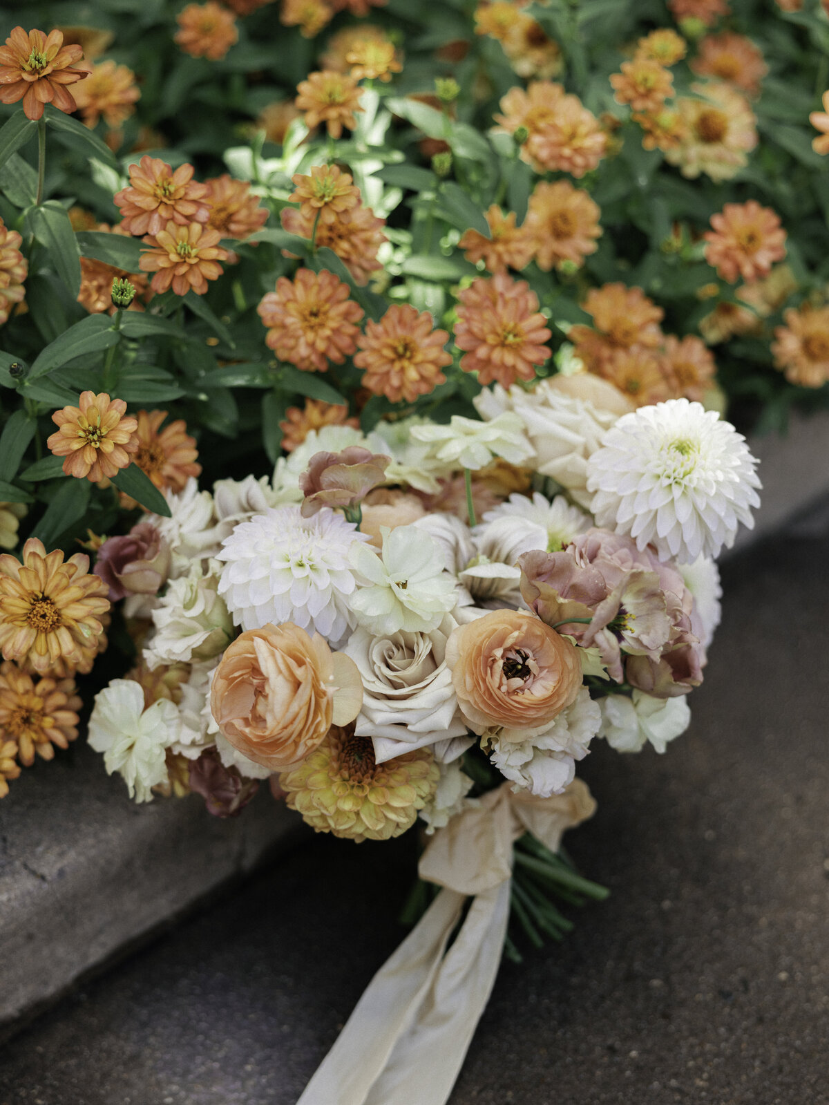 Anastasiia + Sam #-31