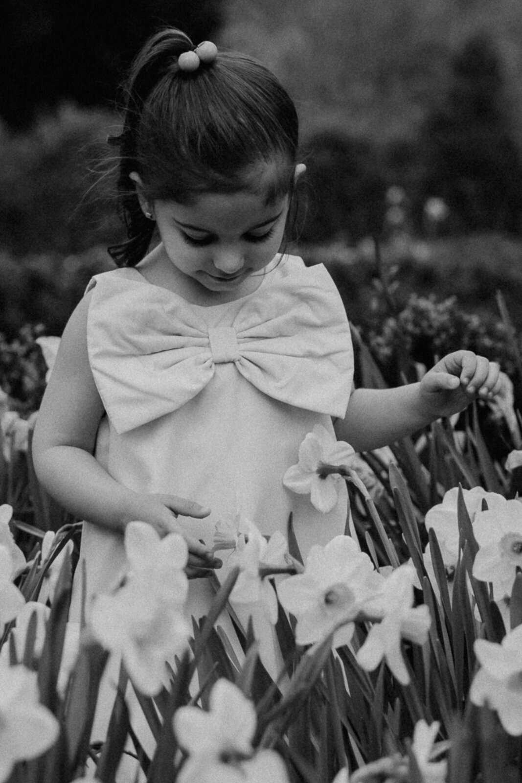 family photoshoot at ringwood botanical gardens nj