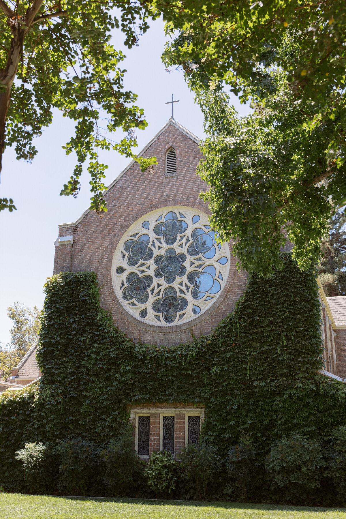 Lodi-Backyard-Wedding.Paige+Christopher.DeniseApgarPhotography-233