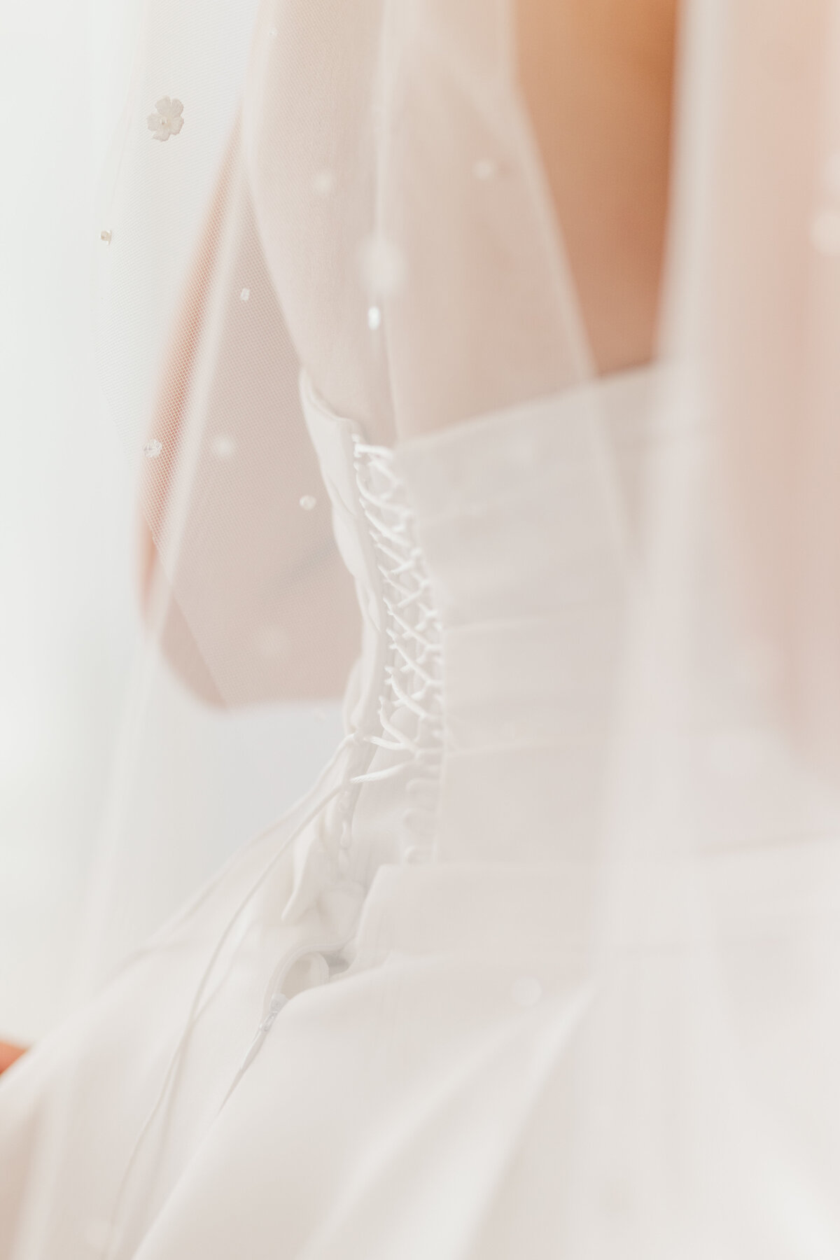 Mahsa + Arjung at Briar Patch Bed and Breakfast Middleburg Persian Wedding-236