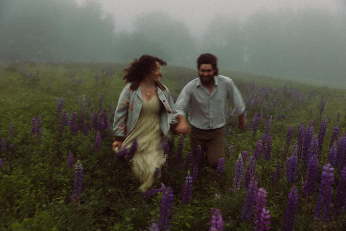 Viewing Lupines in Maine