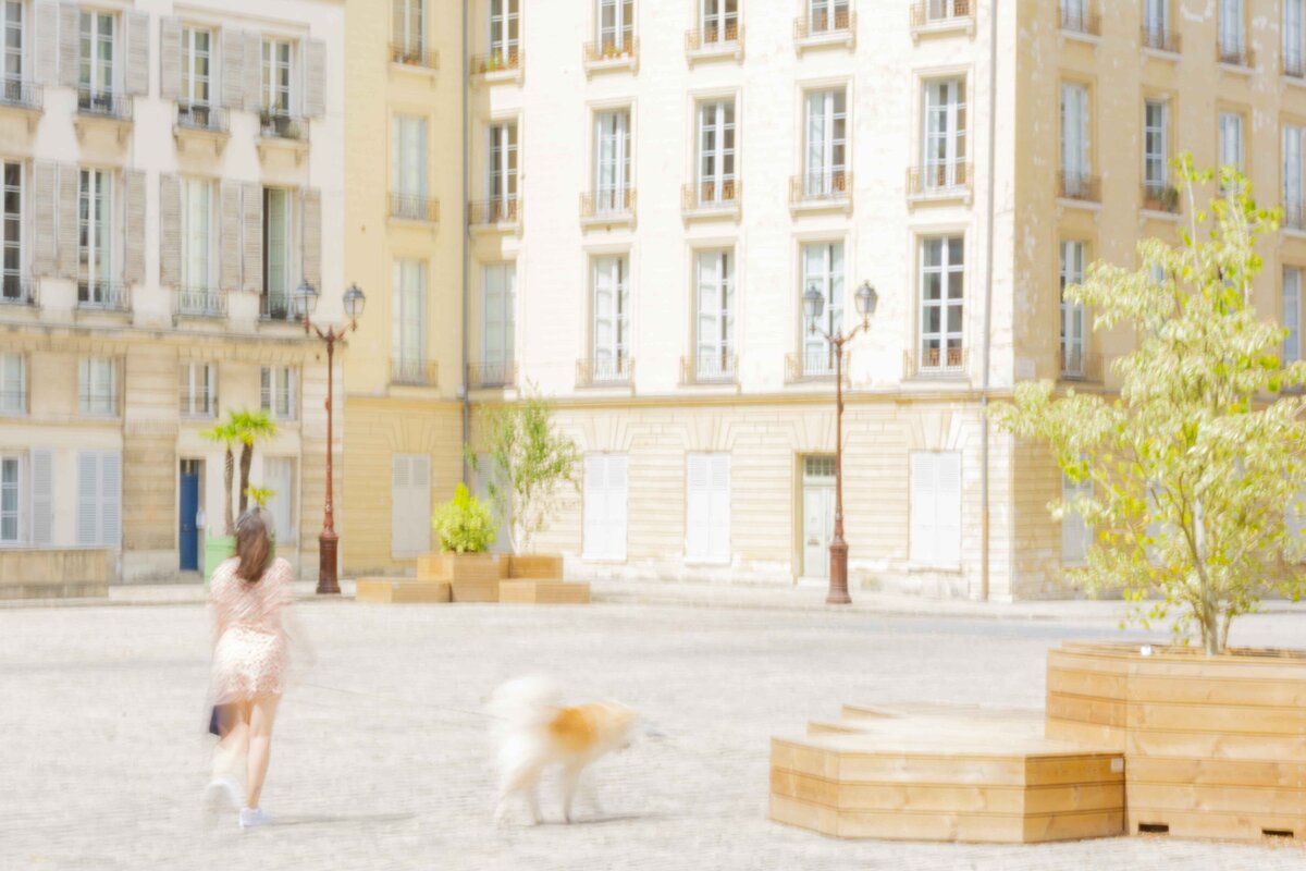 Place Saint Louis-3