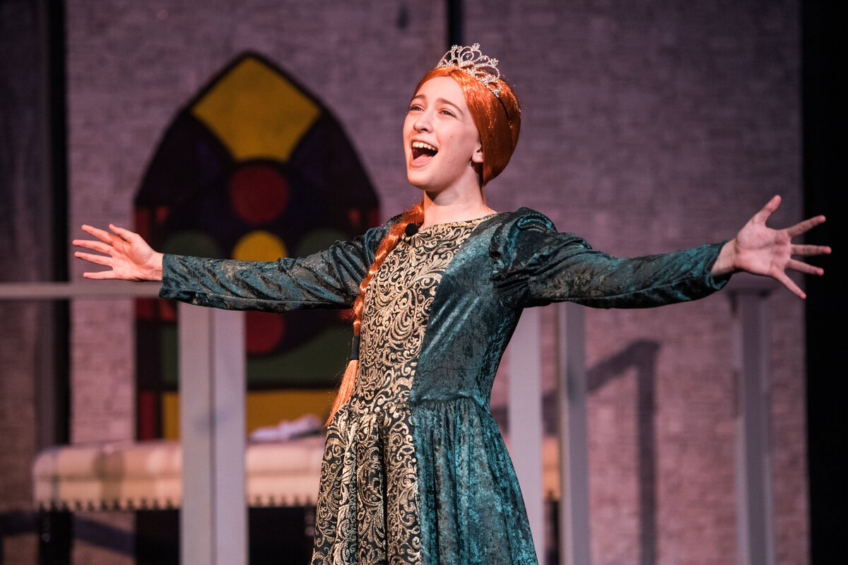 Linnea_Farnsworth_Photography_Washington_DC_Northern_Virginia_Musical_Stage_Photography_33
