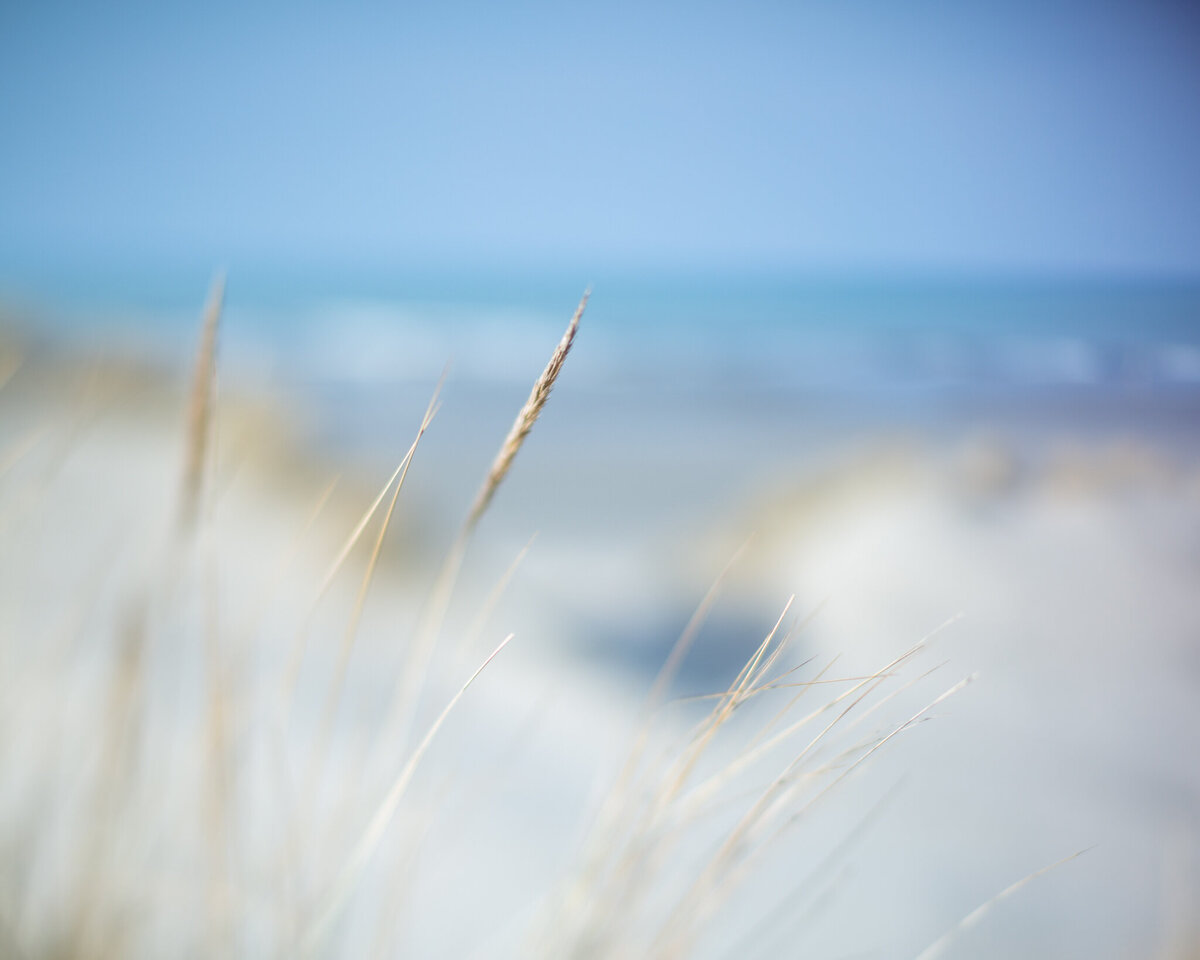 fine_art_photographer _001
