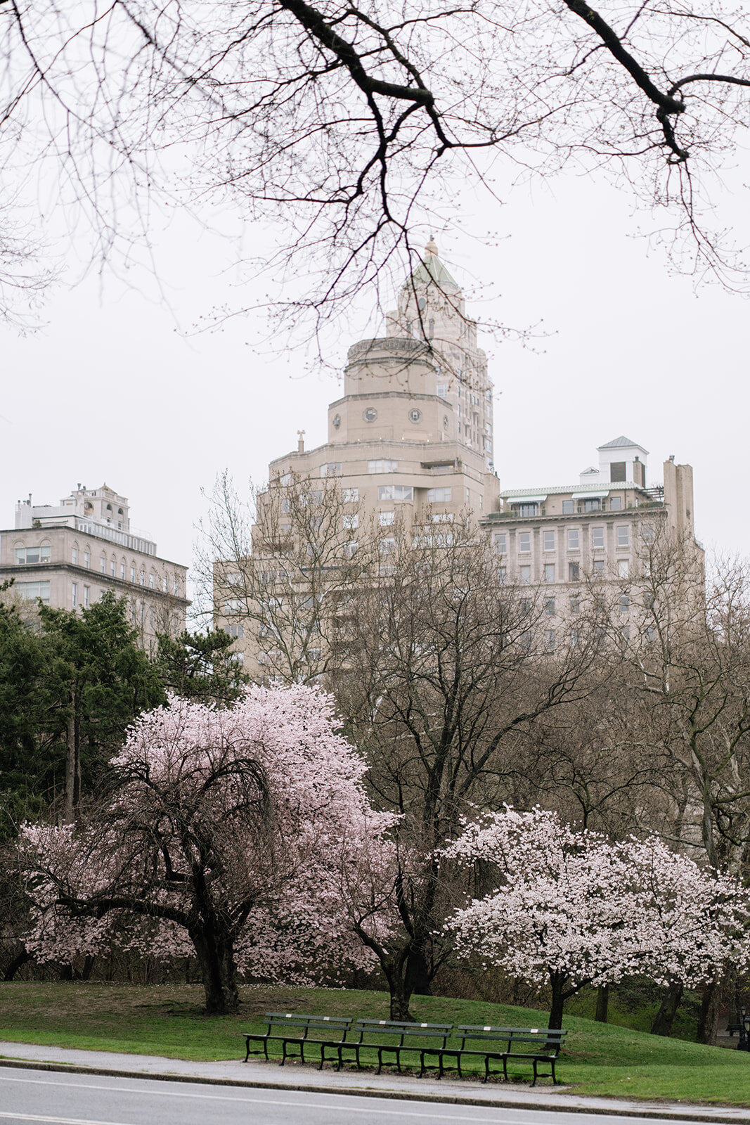 Danielle-Aisling_New_York_City_Central_Park_Boathouse_Wedding-128