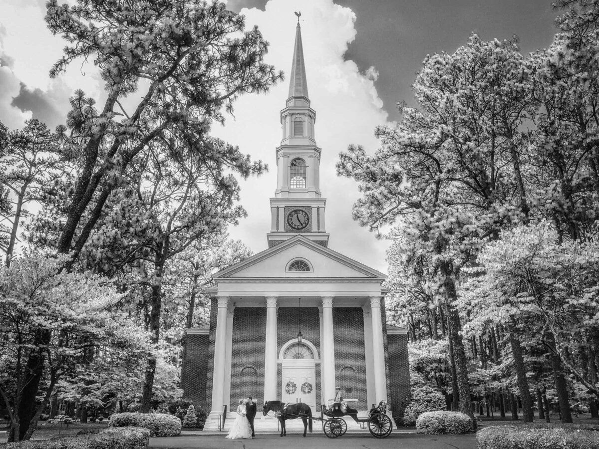 A grand church framed by towering trees is the setting for a wedding, with a horse-drawn carriage