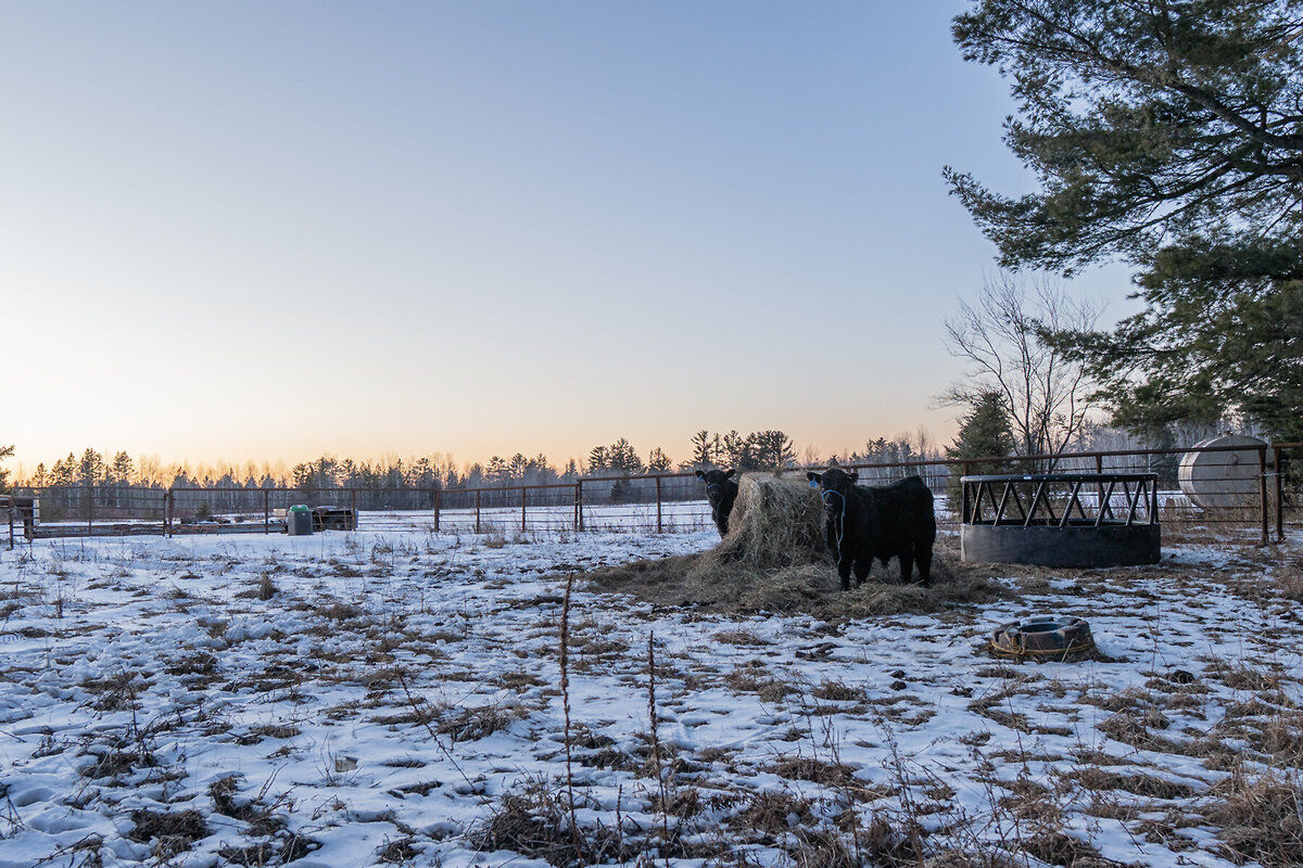 Barn in the winter