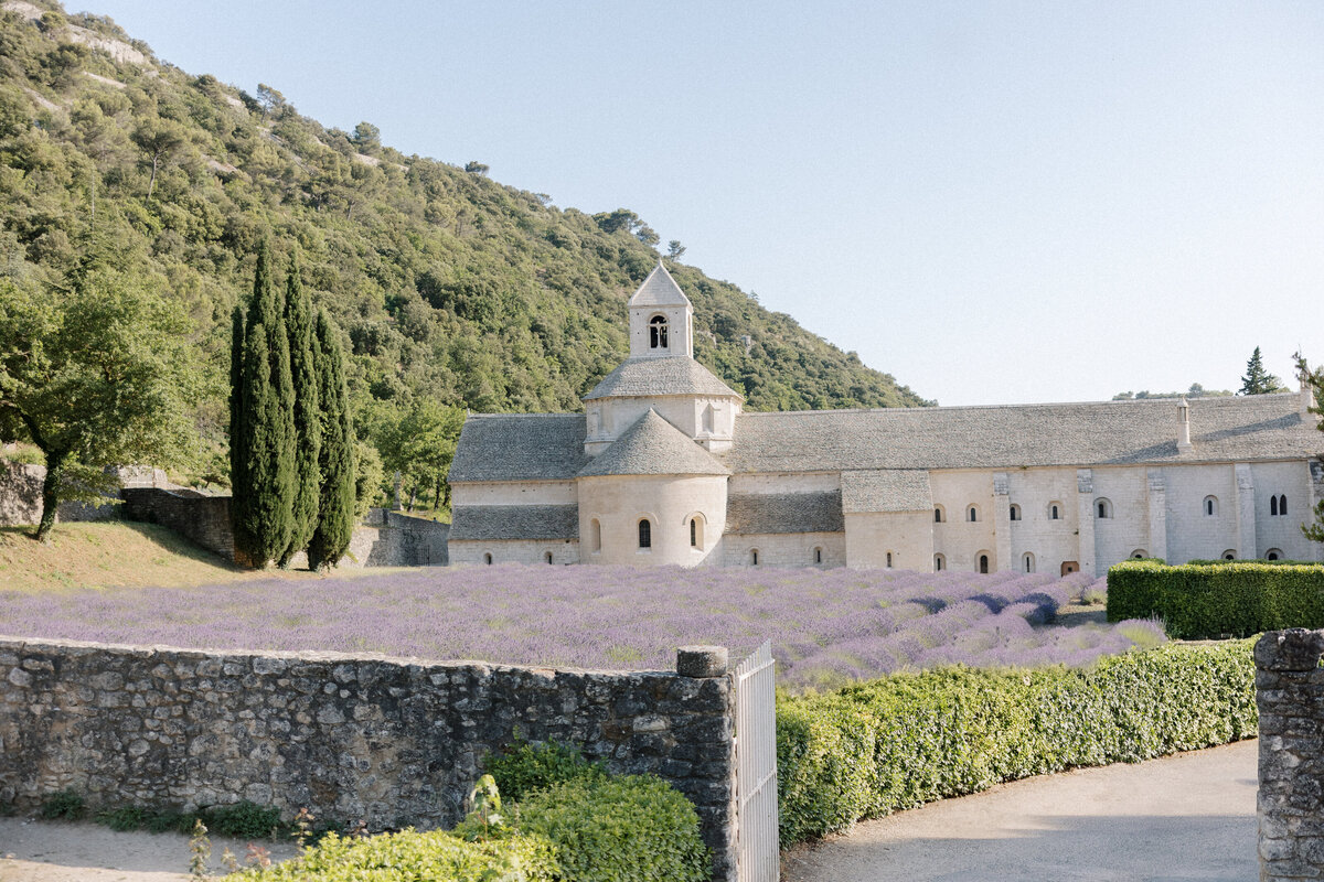 Provence lavender fields engagement-57