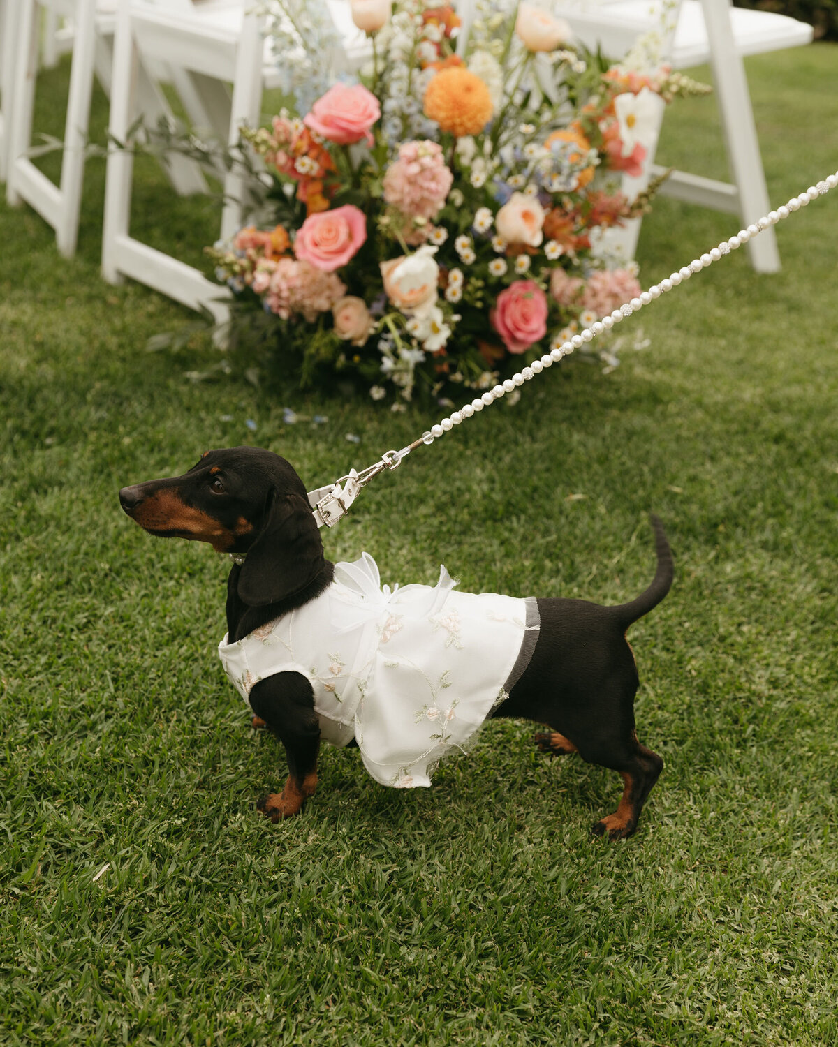 pretty-palm-leaf-event-co-rebekan-and-ben-wedding-ole-hanson-9