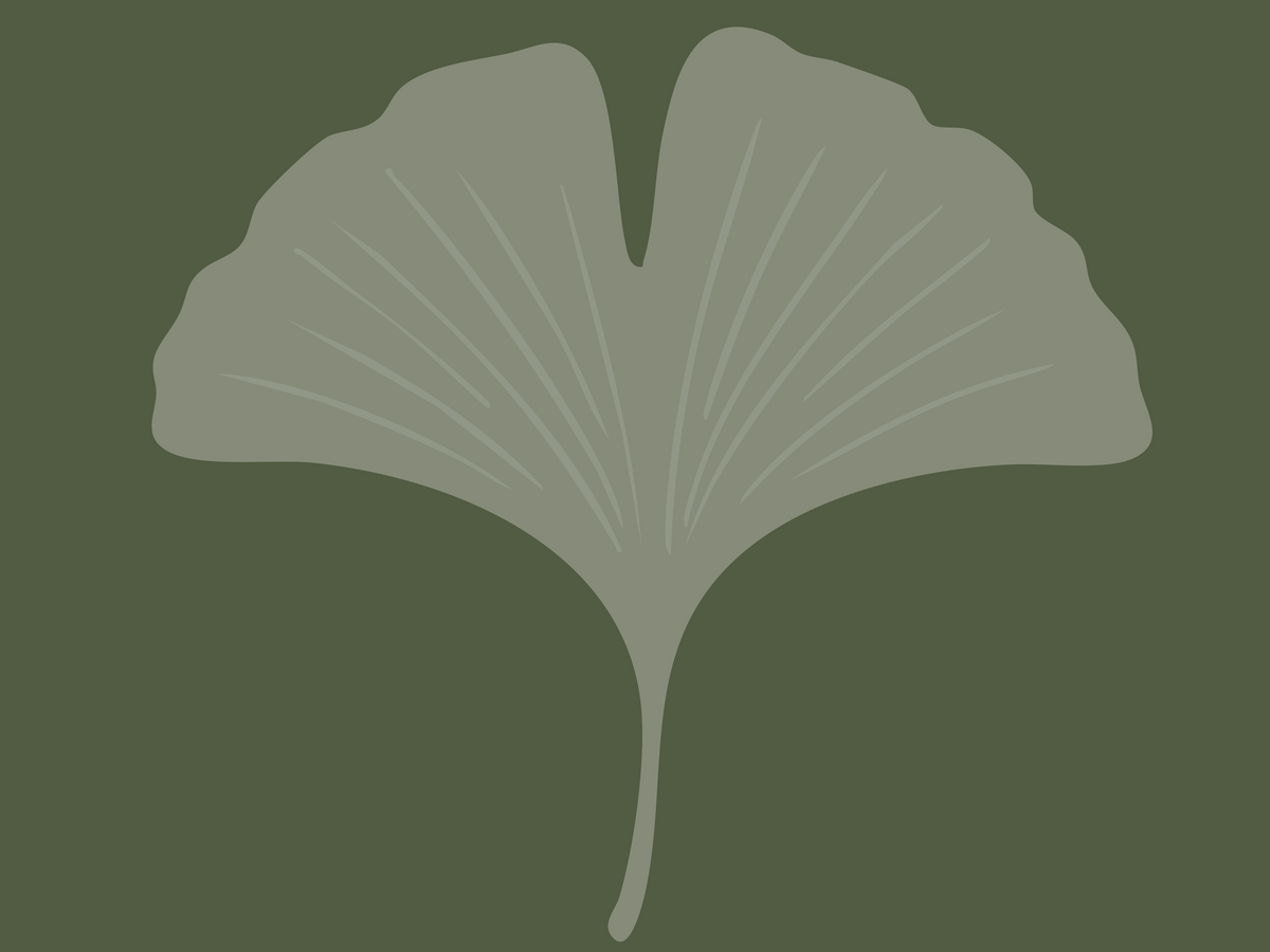 Panacea Vita - Florida Yoga & Integrative Health Studio