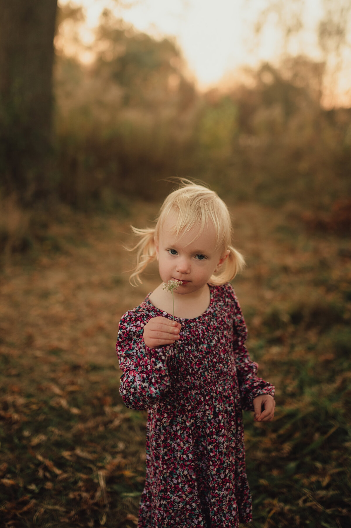 OLIVESAGEPHOTO-03