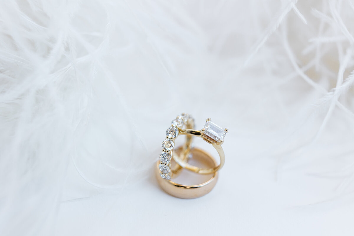 ponte verde Inn & Club WeddingA2382