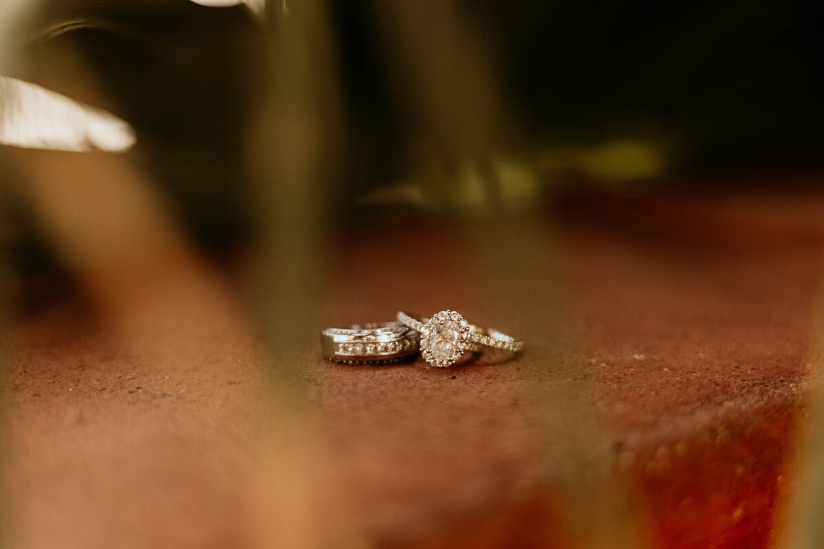 ansleypacettiphotography-10