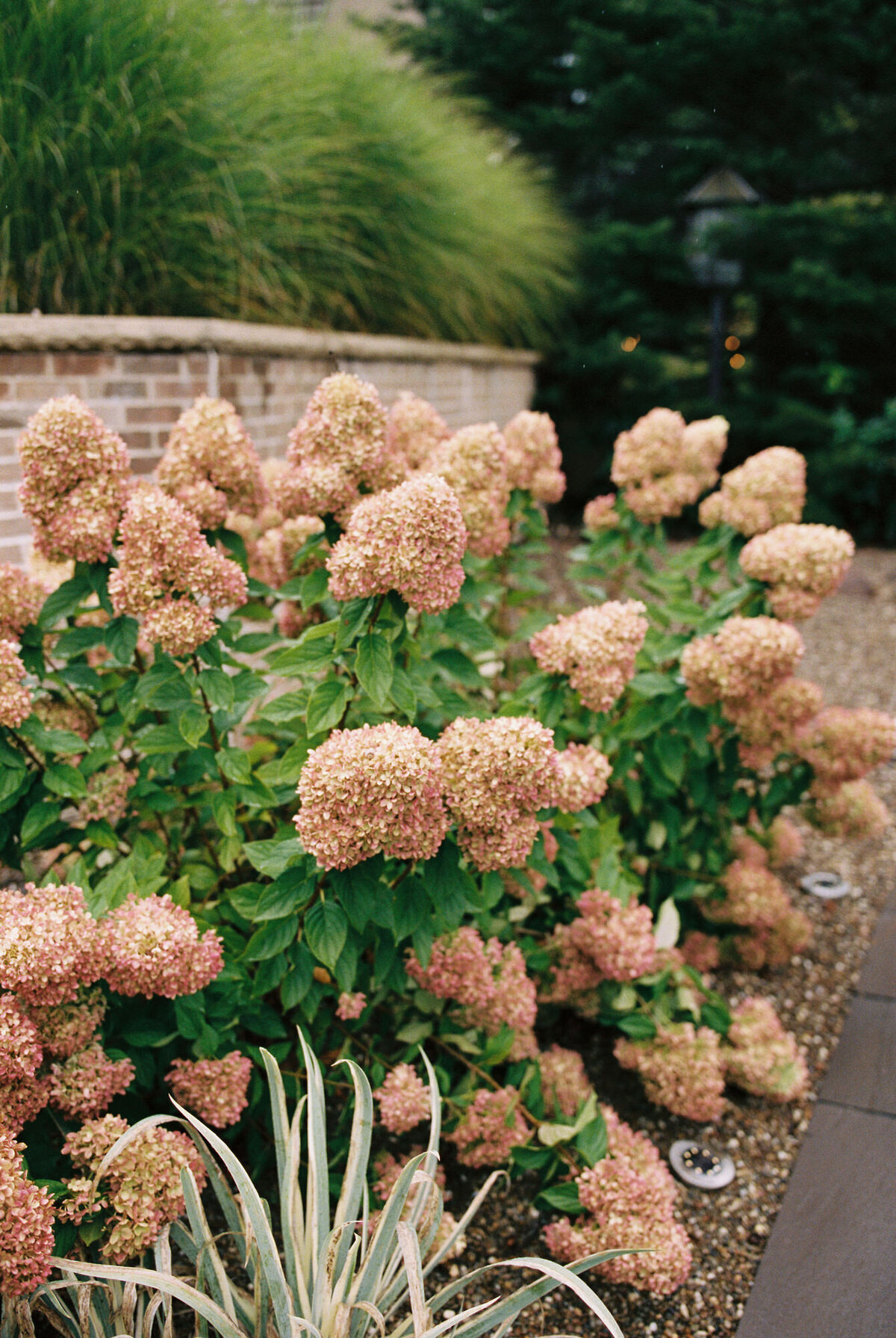 Basil_Place_Wedding_Rachel_Kyle_Swidrak&Co.--352
