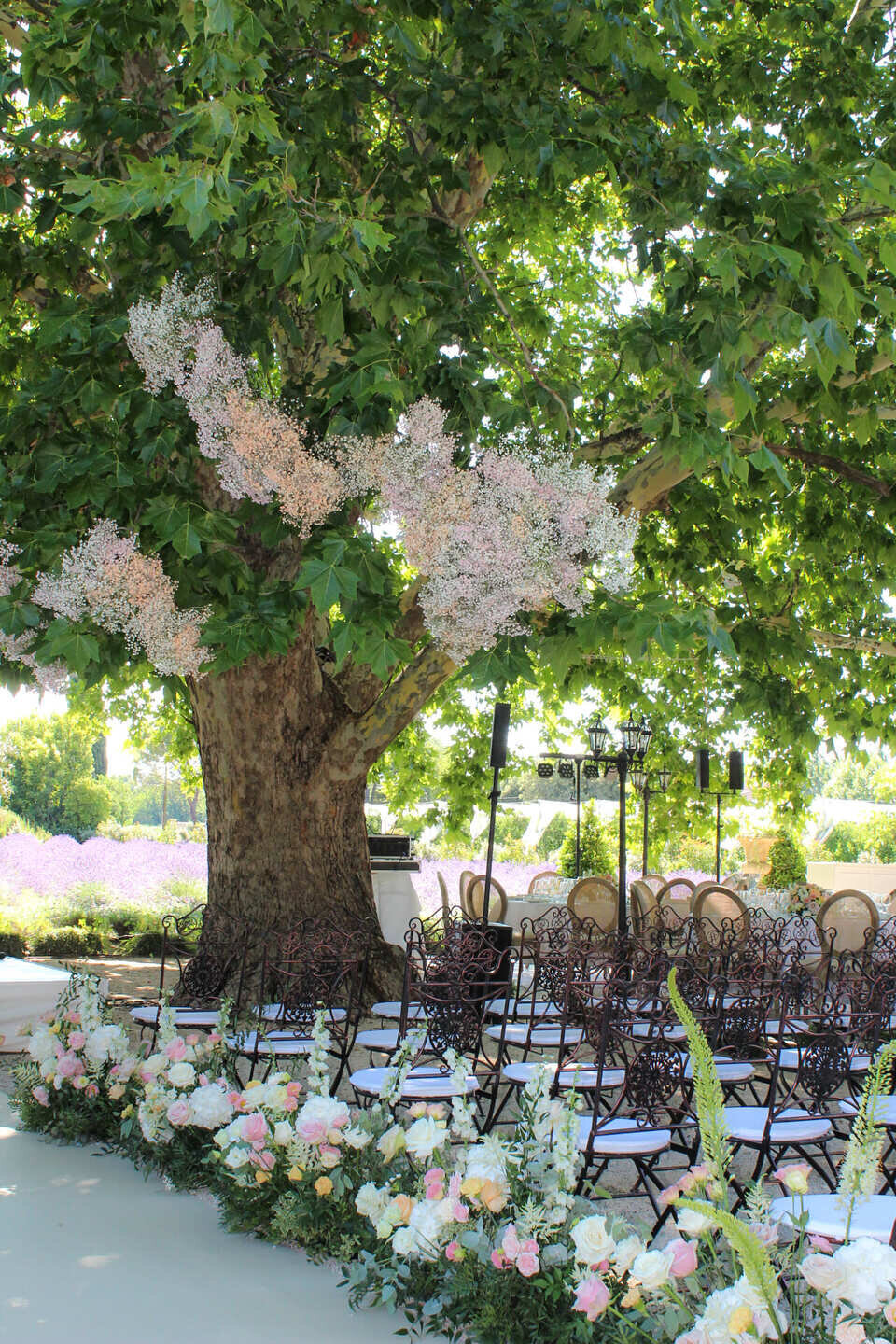 floral-design-elegant-ceremony-exterior-under-tree