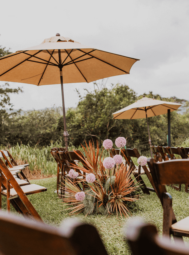 Screenshot 2025-11-20 at 12.18.27 PM