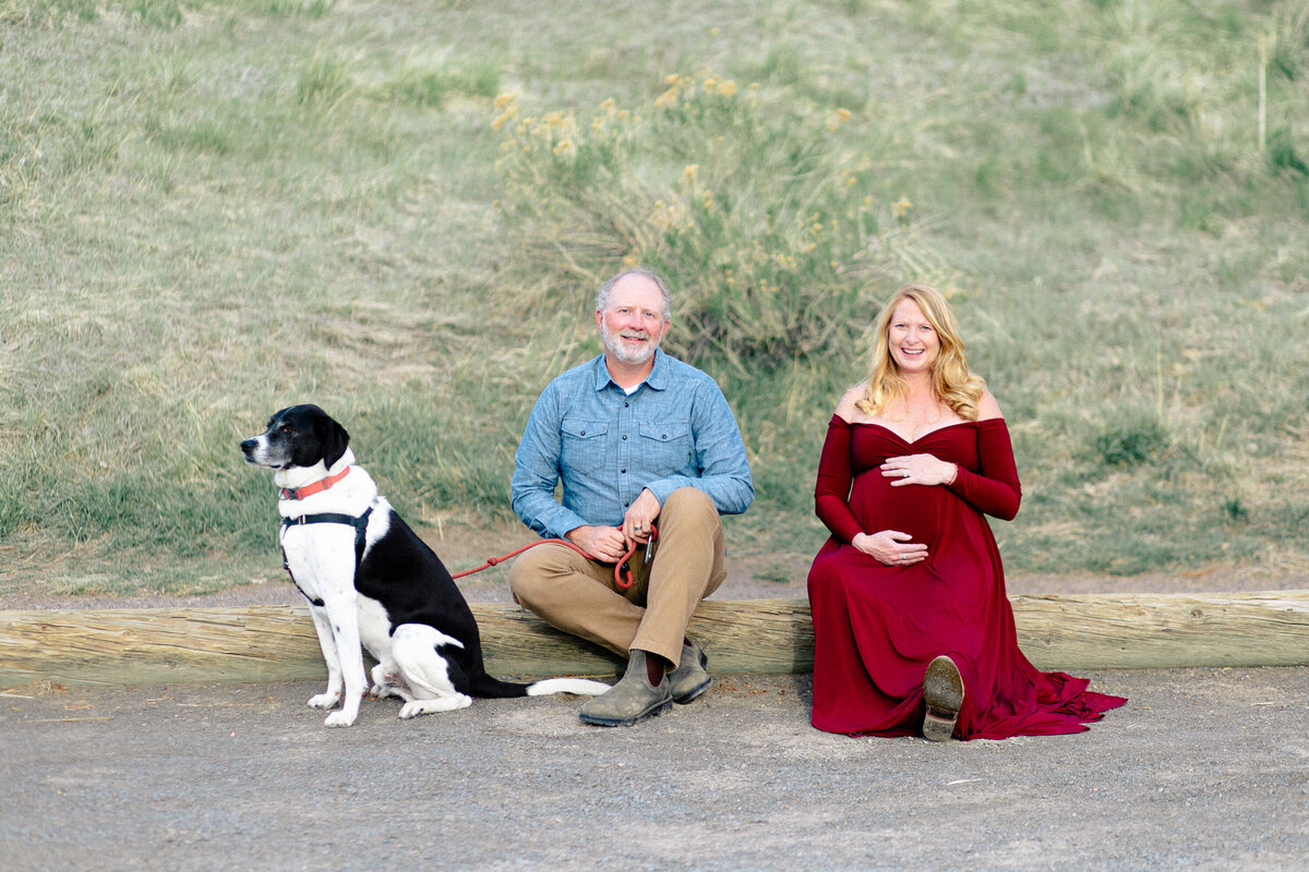 pregnant couple sit on a log during a golden colorado maternity session, along with the black and white dog