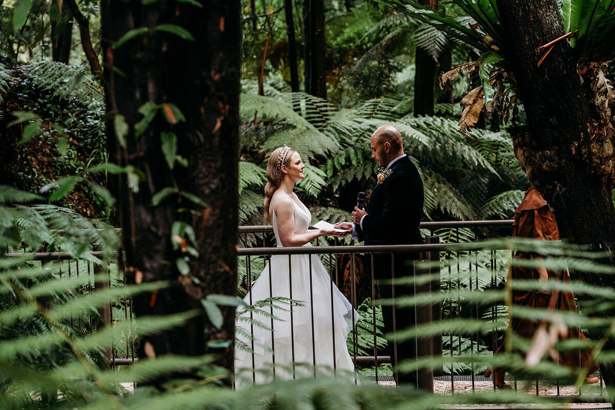 Margan_Photography_Australian_National_Botanic_Gardens-86