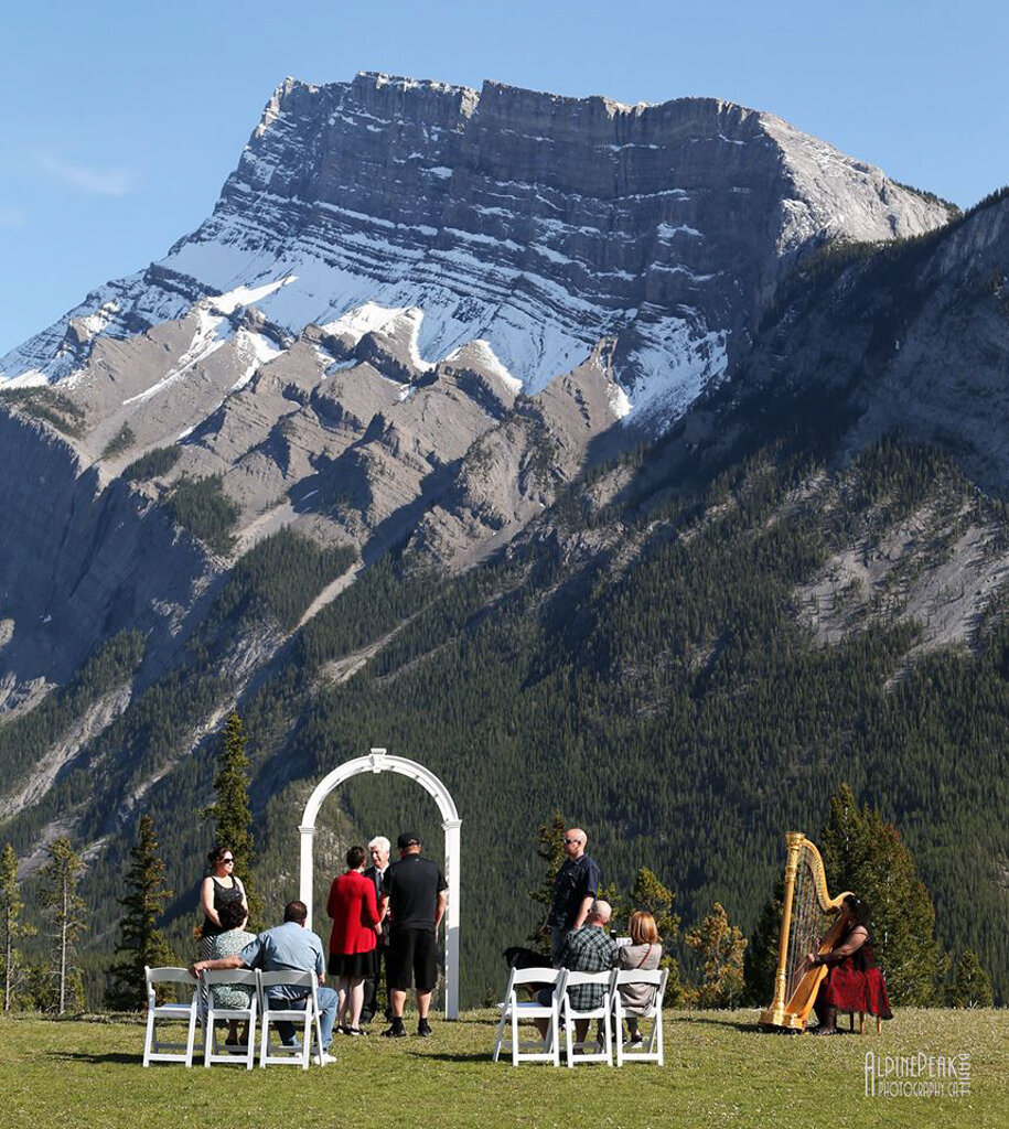 Harp Angel - Harpist, classical wedding musician based in Calgary, BC. Featured on the Brontë Bride Vendor Guide.