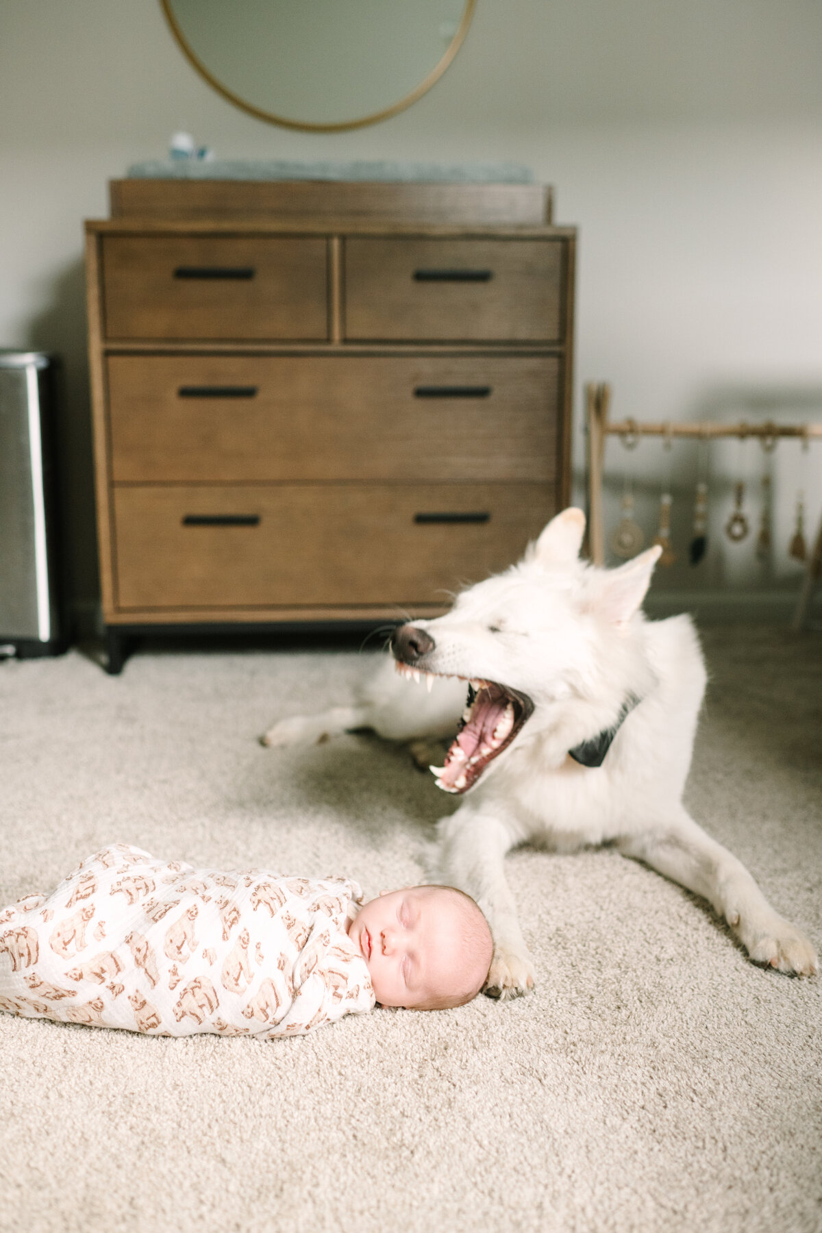 St Augustine Newborn Photographer - Ashley Dye- MilesTyde-7221