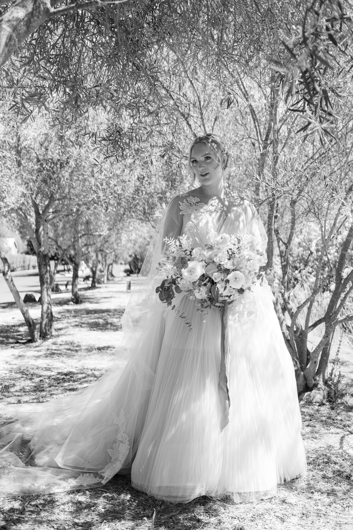 napa-valley-wedding-sanaz-riggio-13_3500
