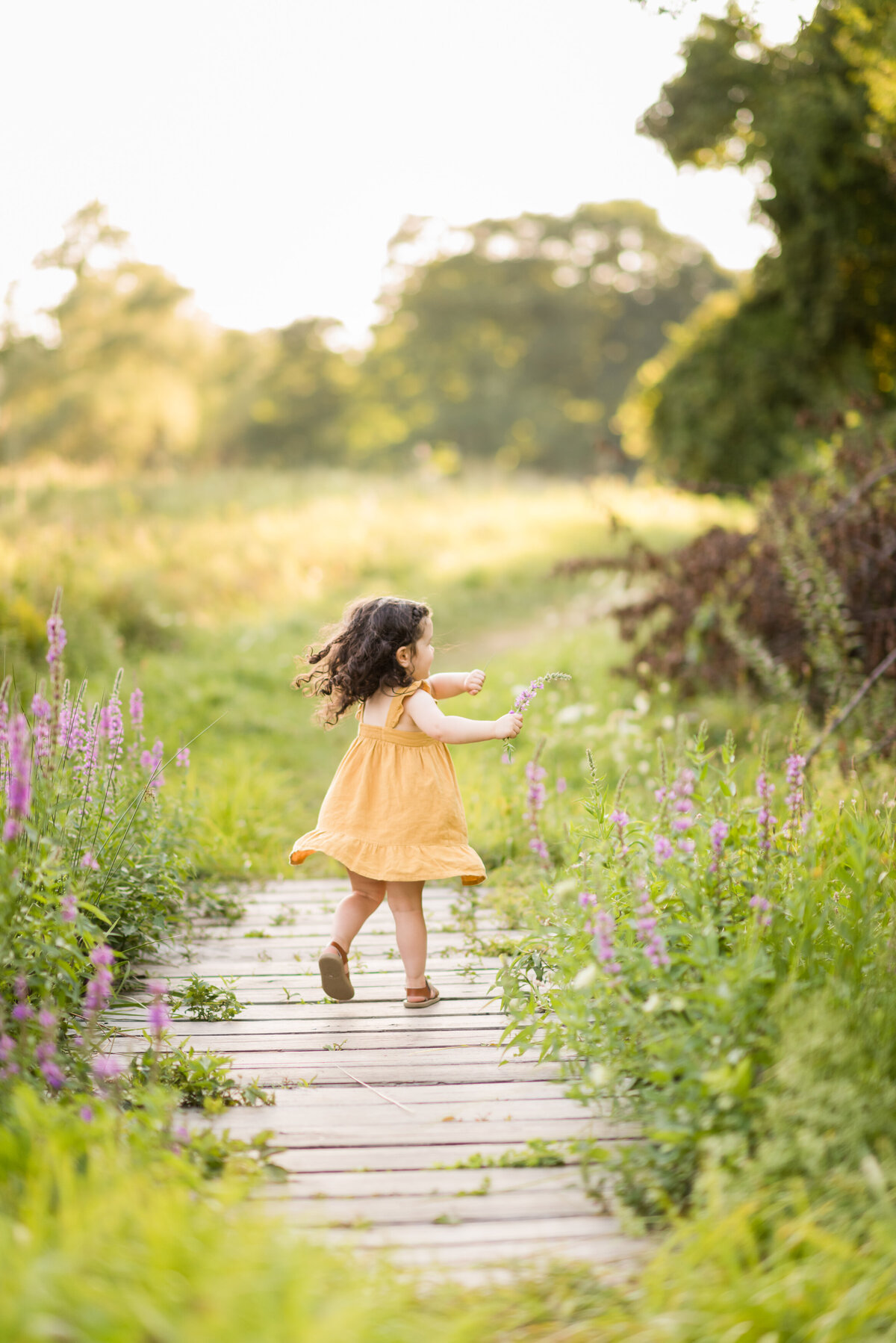 Boston-family-photographer-bella-wang-photography-Lifestyle-session-outdoor-wildflower-14