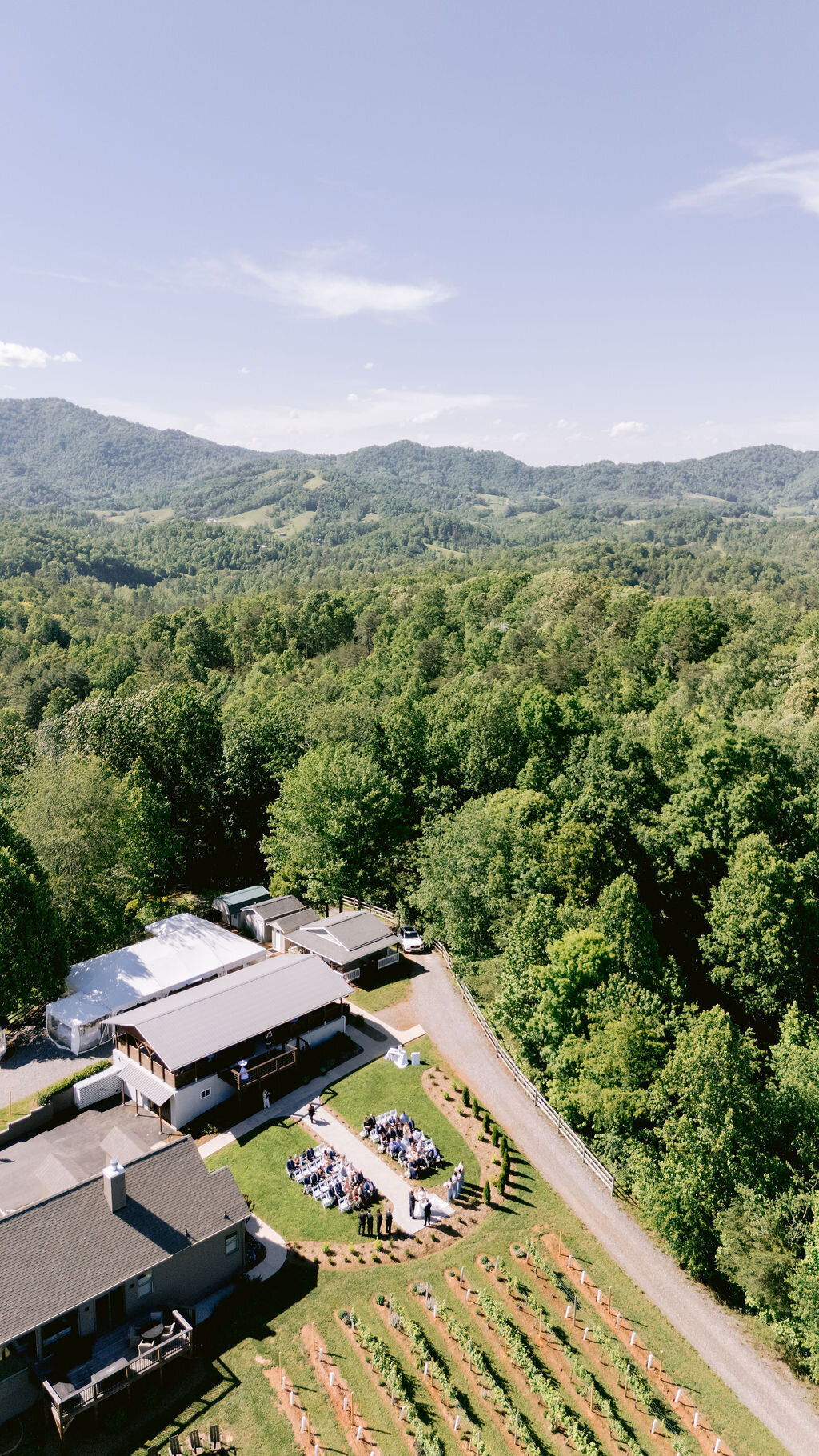 Zaversnik-Wedding-225