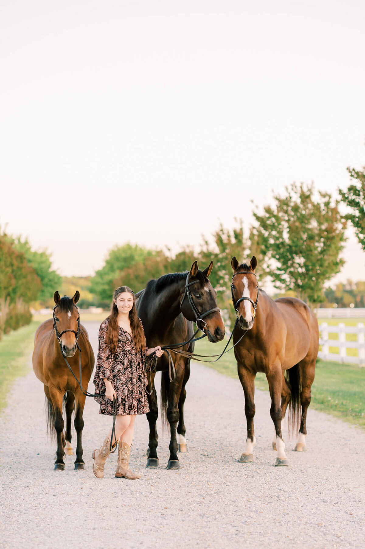pictures-of-horses-catherine-michele-photography