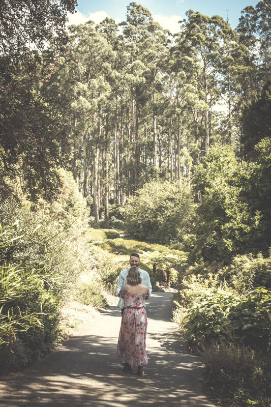 Liminal-Wonderland-Surprise-proposal-Mt-Dandenong014