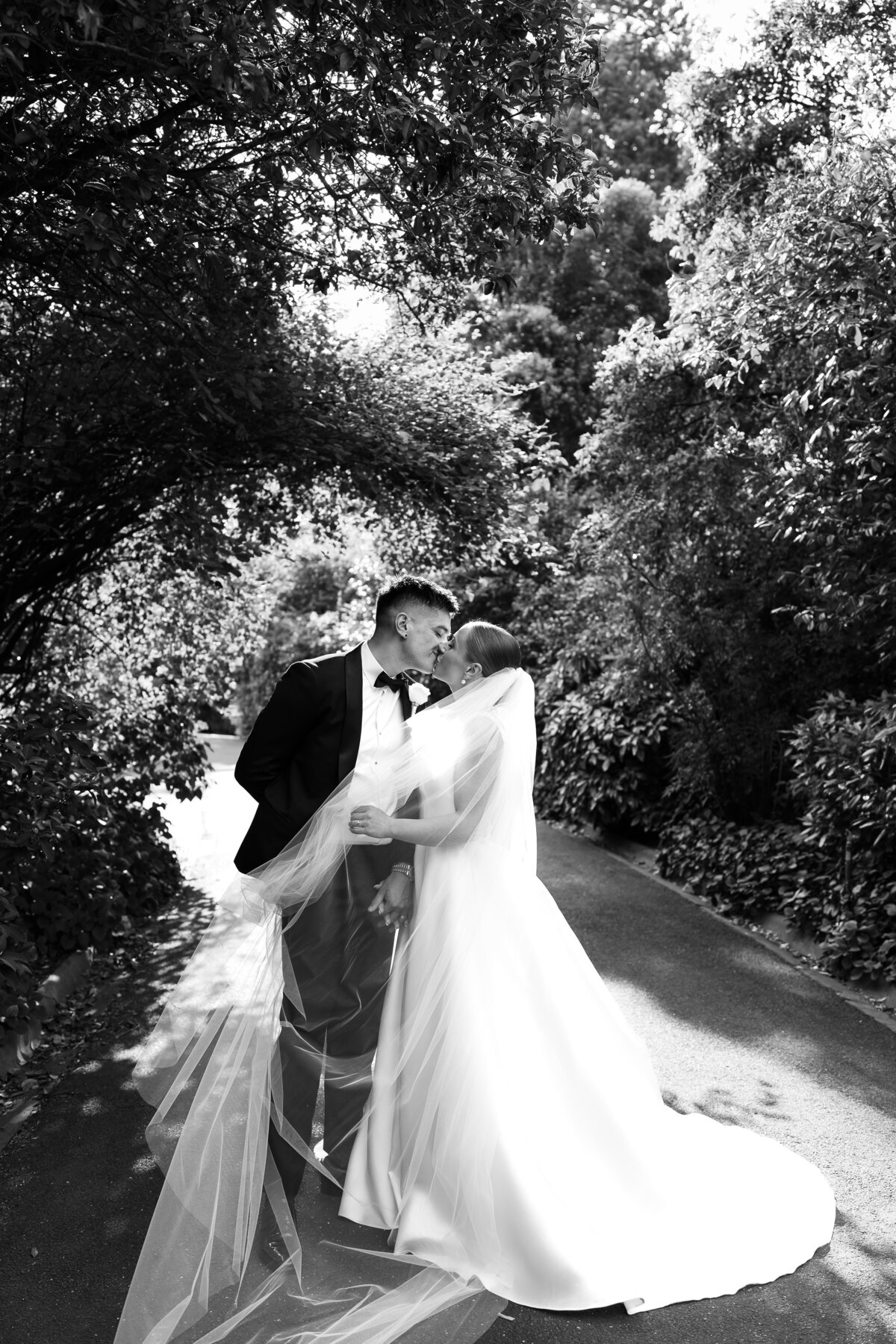 Courtney Laura Photography, Royal Botanical Gardens, The Terrace, Yarra Valley Wedding Photographer, Zoe and Sergio-284