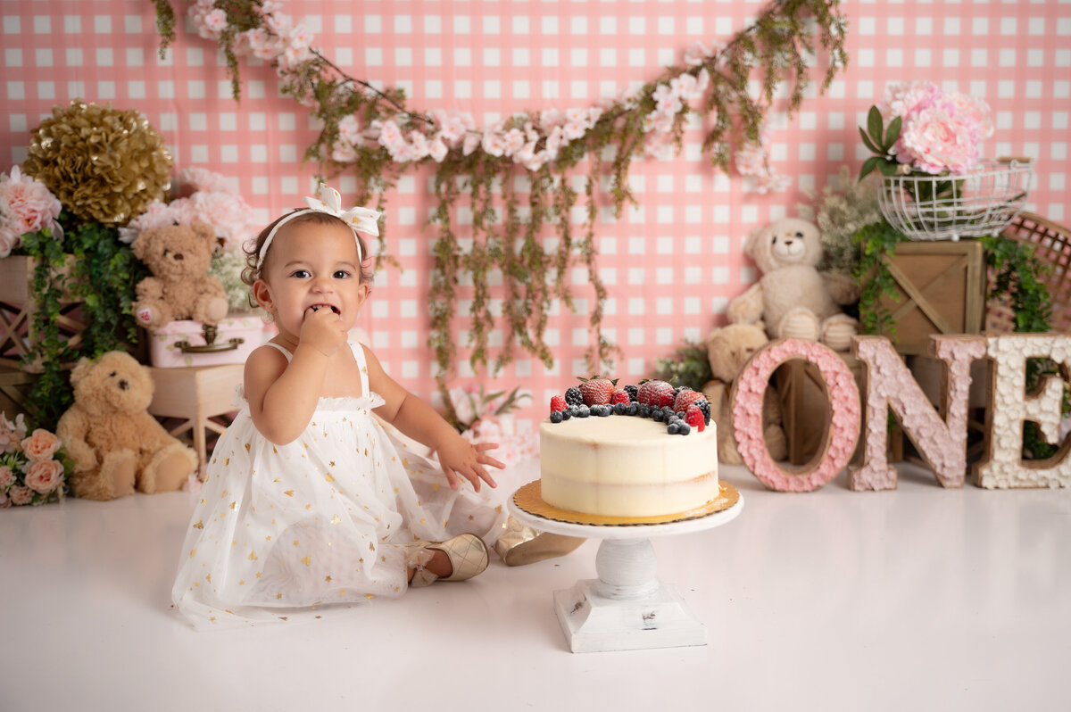 teddy bear picnic cake smash