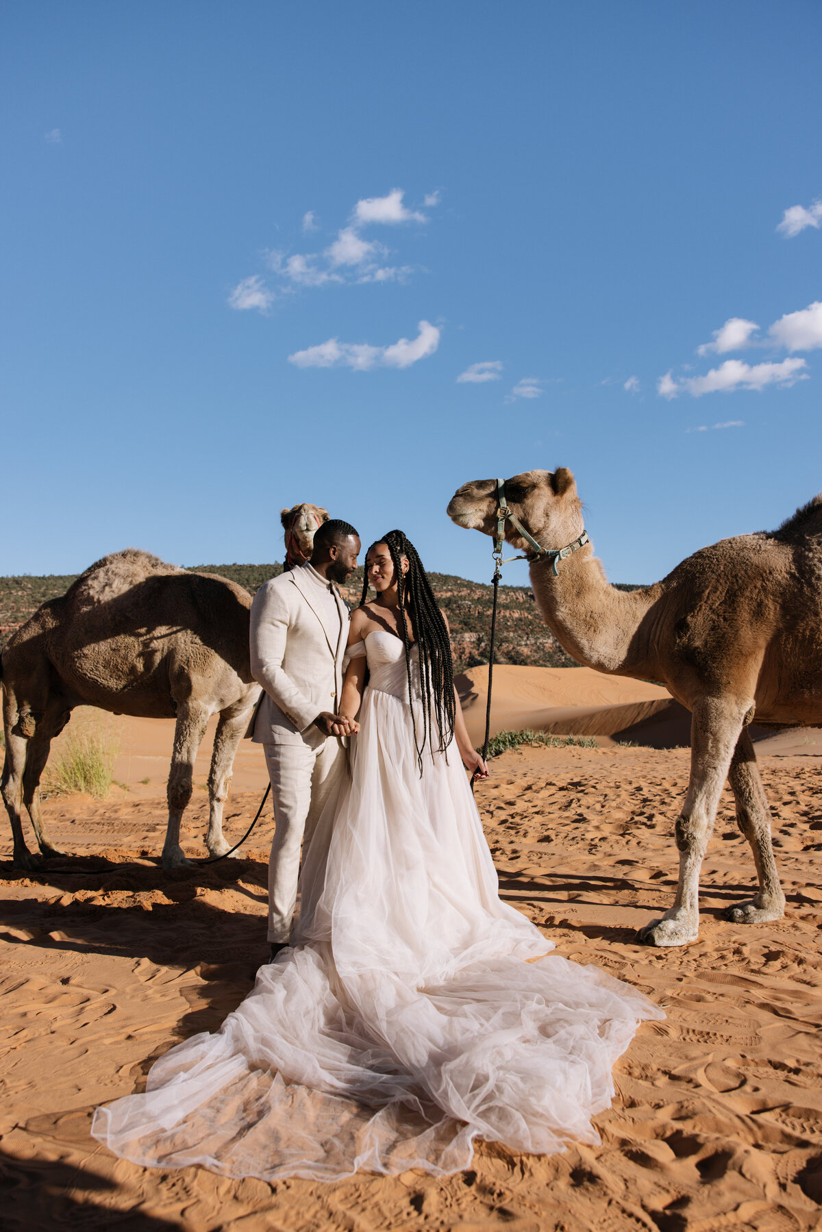 camelpreviews-33