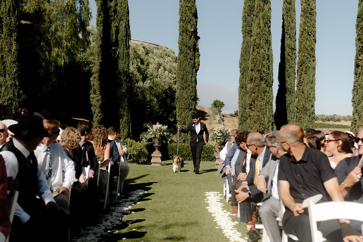 falkner winery temecula wedding 117