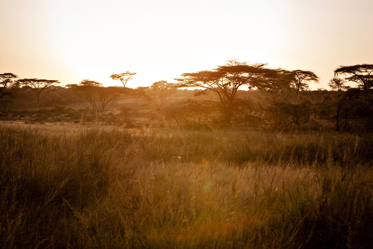 Kenyan Sunrise 1 - Overcoming v3