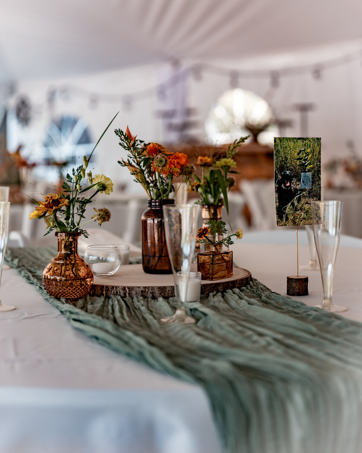 Toledo Outdoor Tent Wedding Venue